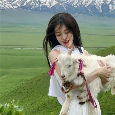 疯狂的狐狸